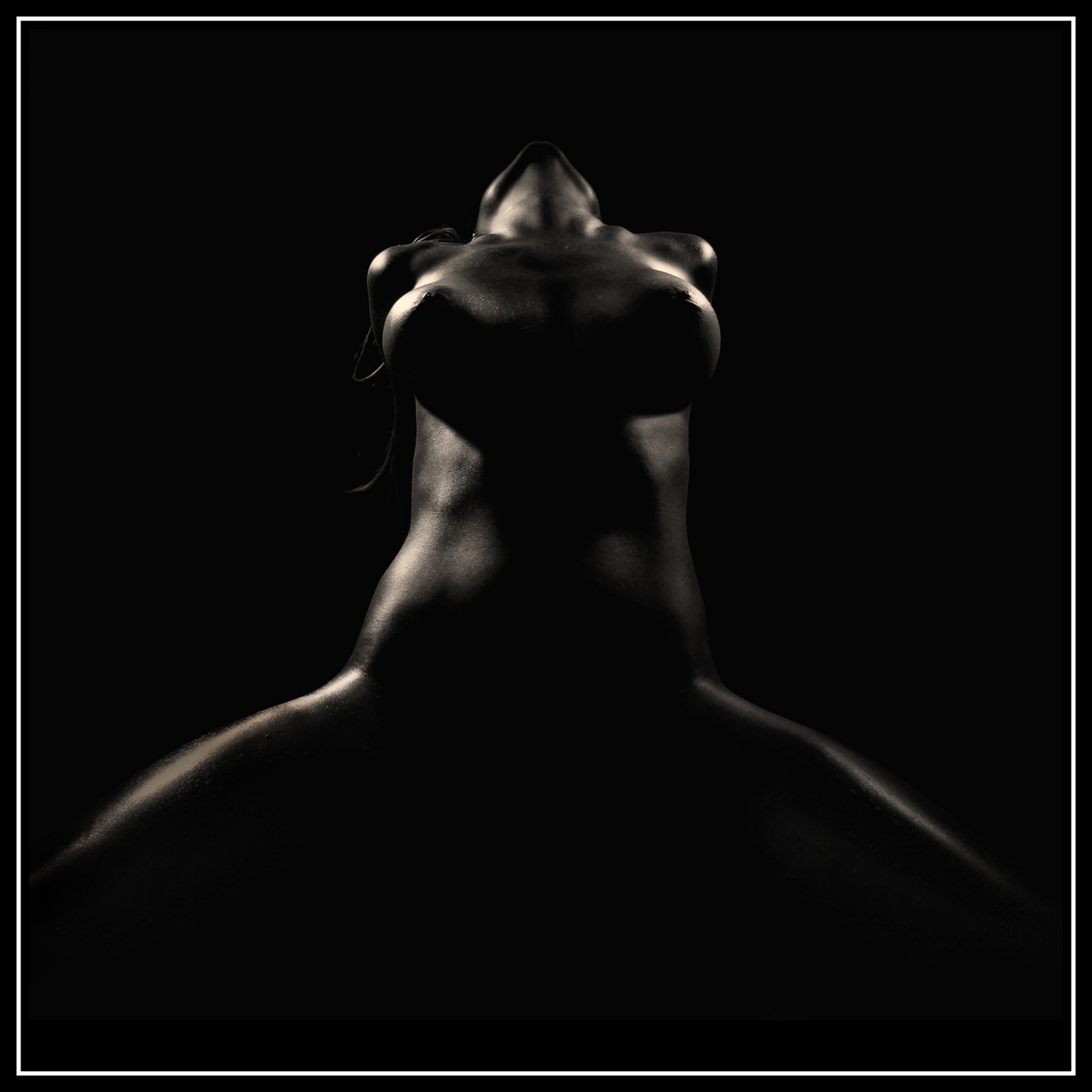 Lb   01   1081squarreweb